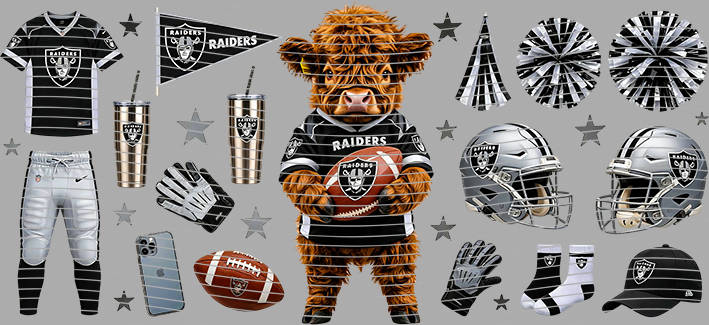 16oz team-NFL 3461